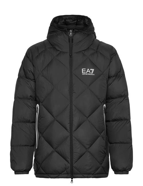 EA7 | Down Jacket | L