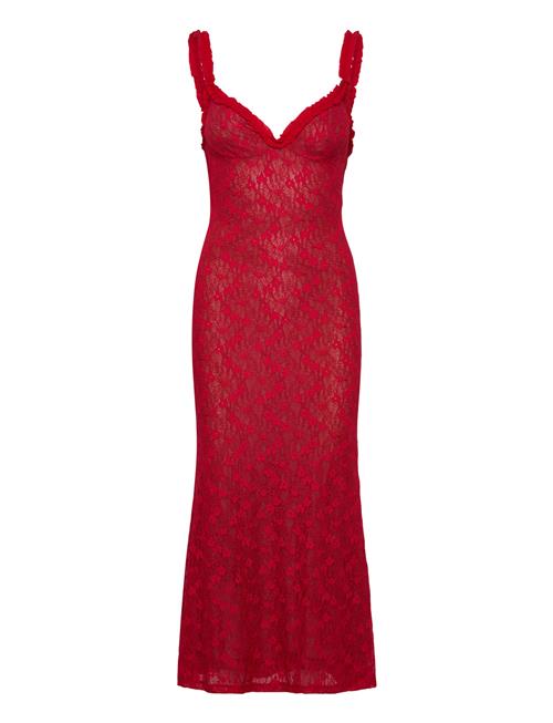 Bardot | Alegra Stretch Lace Midi Dress | 38