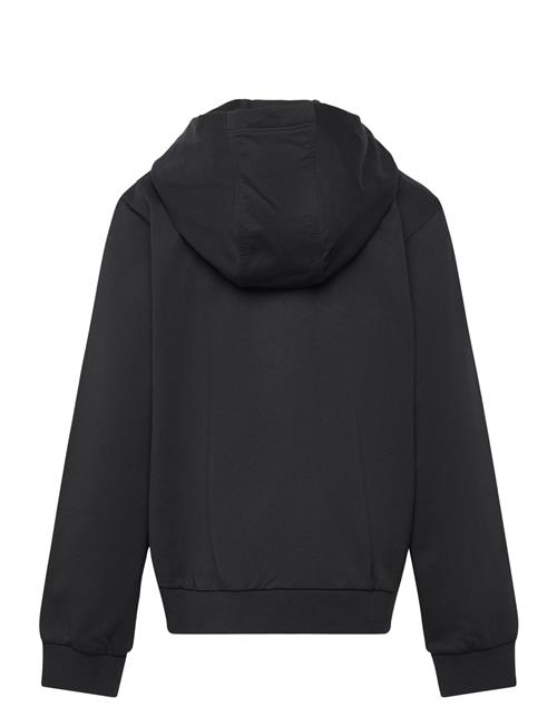 EA7 | Sweatshirt | 116