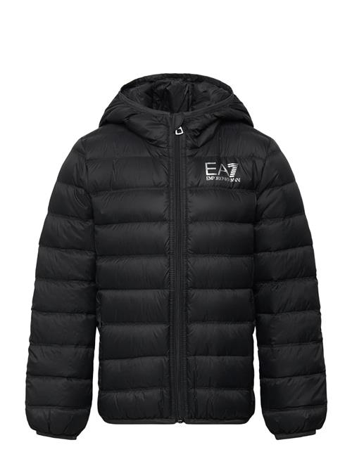EA7 | Down Jacket | 116