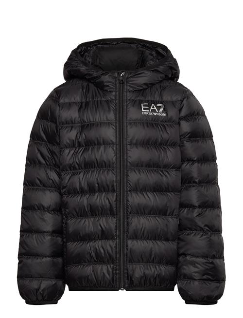 EA7 | Down Jacket | 164