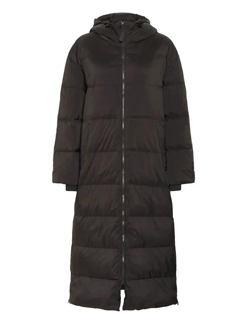 Part Two | Safirpw Otw | 34