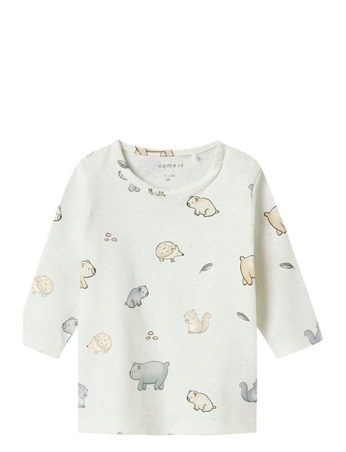 name it | Nbnluma Ls Top | 50