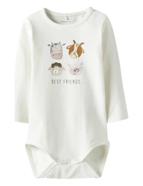 name it | Nbmlamb Ls Body Box | 50