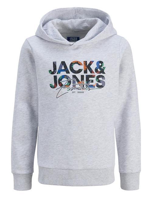 Jack & Jones | Jjgeplas Sweat Hood Mni | 98