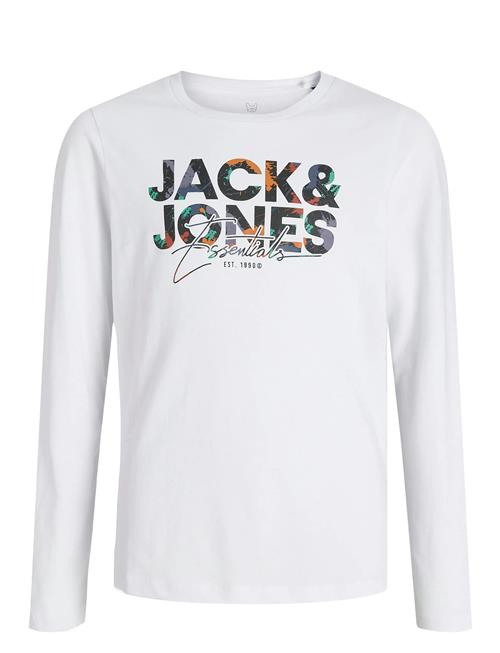 Jack & Jones | Jjgeplas Tee Ls Crew Neck Mni | 104