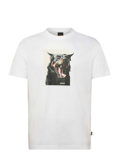 BOSS | Te_Dobermann | XL