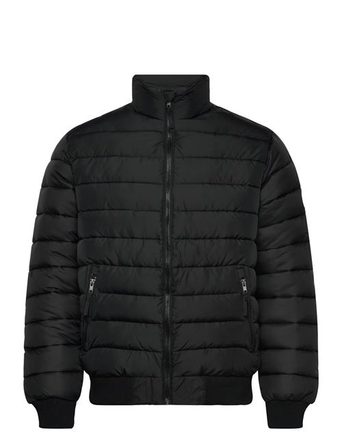 VINSON | Glen Reg Vin M Otw | XL