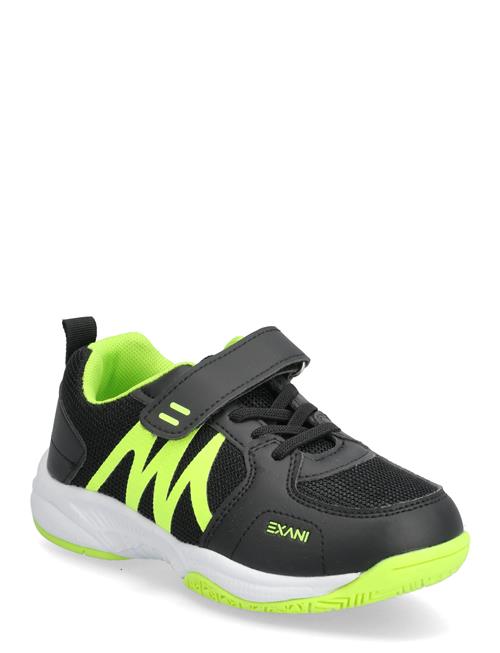 Exani | Zephyr Jr | 29