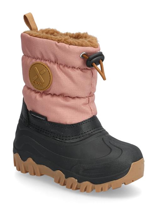 Exani | Aspen K | 23