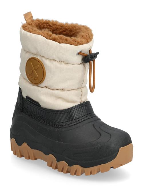 Exani | Aspen K | 24