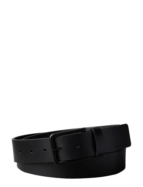 Calvin Klein | Warmth Buckle Smooth 35Mm | 105