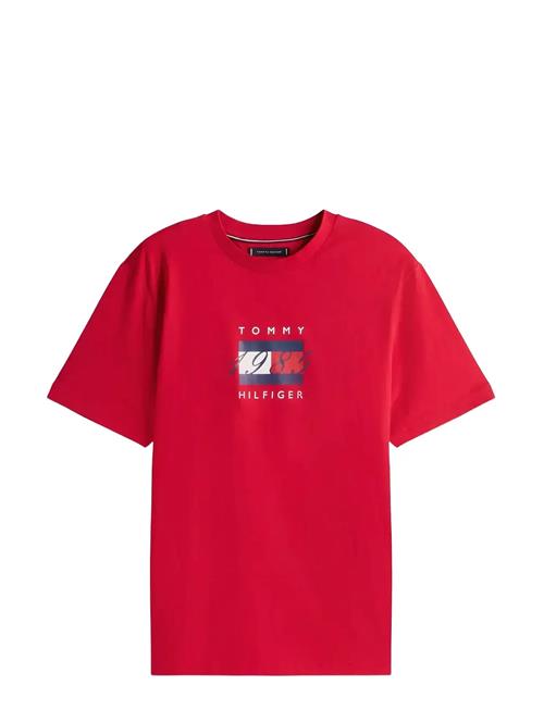 Tommy Hilfiger | Linear Flag Graphic Tee | L