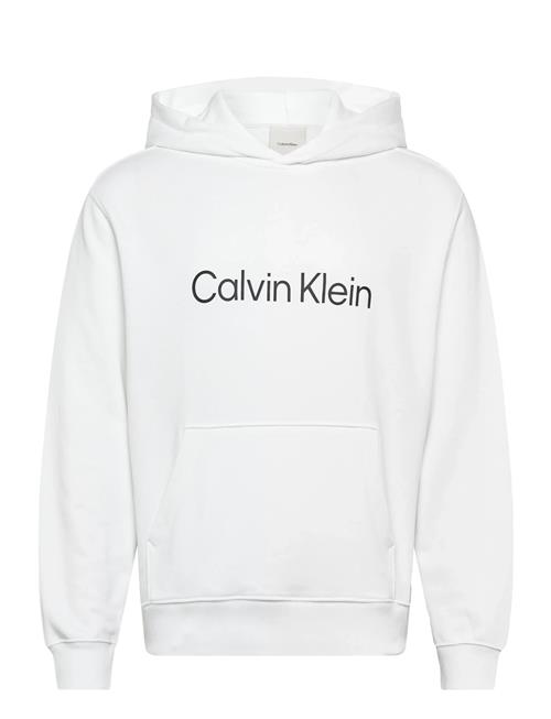 Calvin Klein | Ls Eu Standard Logo 350Terry Po | L