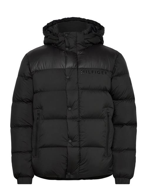 Tommy Hilfiger | Mix Down Hooded Puffer | S