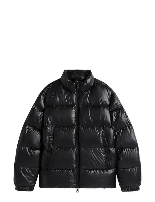 Tommy Hilfiger | Shiny Down Stand Puffer | S