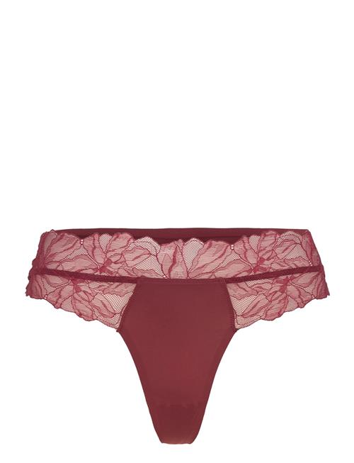 Calvin Klein | Thong | XS