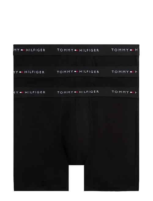 Tommy Hilfiger | 3P Boxer Brief Dtm | L