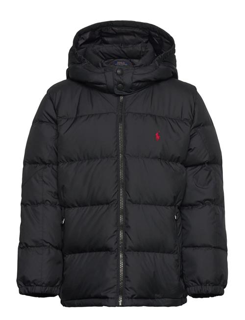 Ralph Lauren Kids | Ripstop Down Hooded Jacket | 94-100