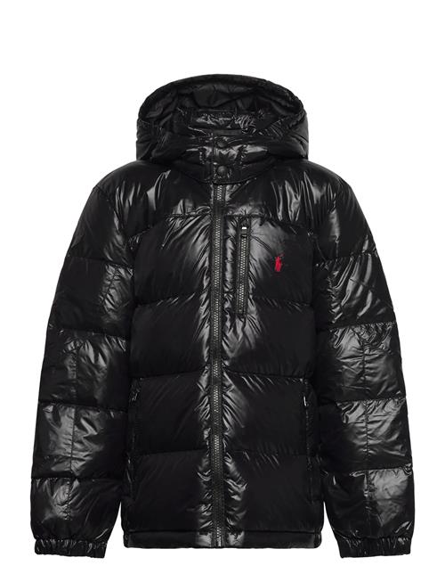 Ralph Lauren Kids | Glossed Down Hooded Jacket | 138-149