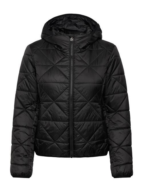 HUGO | Fandine-1 | M