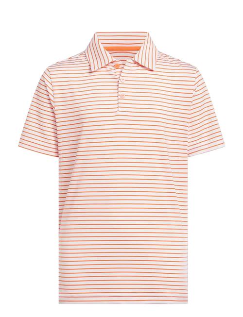 adidas Golf | B Striped Polo | 140