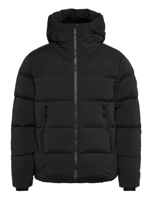 Sail Racing | Cloud Down Stretch Hood | XL