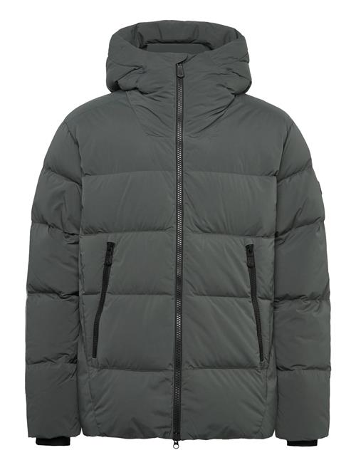 Sail Racing | Cloud Down Stretch Hood | L