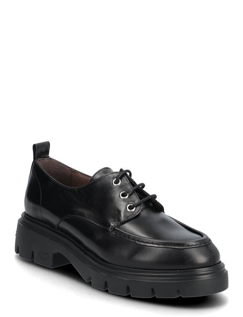 Wonders | Bones 02 | 39