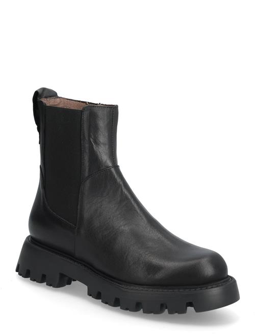 Wonders | Goodfly 11 | 40