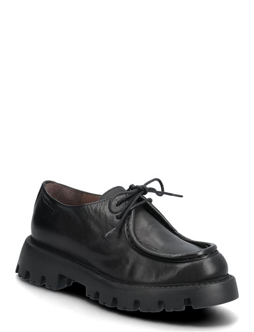 Wonders | Goodfly 14 | 40