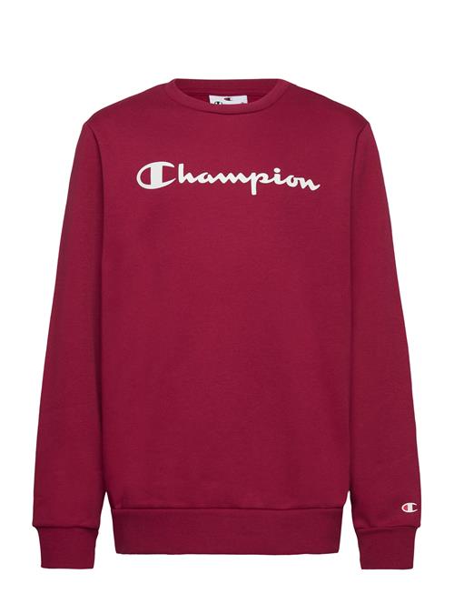 Champion | Crewneck Sweatshirt | 174-179