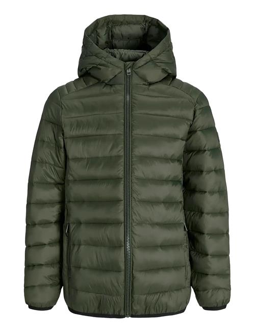 Jack & Jones | Jjebradley Light Puffer Hood Jnr | 176