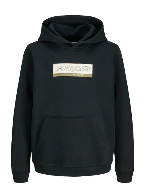 Jack & Jones | Jorinwood Block Branding Sweat Noos Jnr | 152