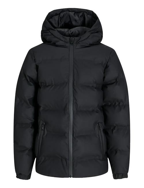 Jack & Jones | Jjelements Pu Puffer Jnr | 164