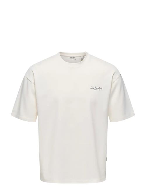 ONLY & SONS | Onsles Classiques Caspian Ss Tee | XS