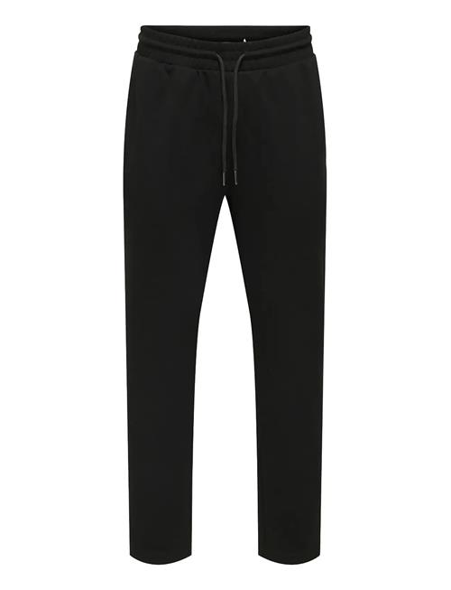 ONLY & SONS | Onsnewkodyl Life Linus Reg Pant Noos | XXL