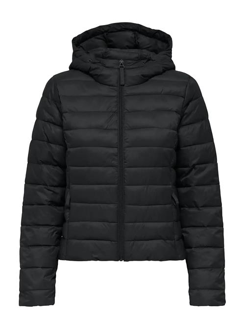 ONLY | Onltahia Lw Quilted Hood Jkt Noos Otw | M