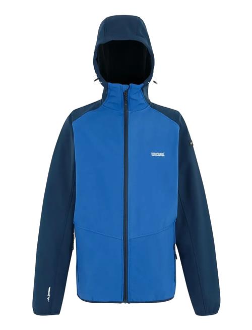 Regatta | Arec Iii | S