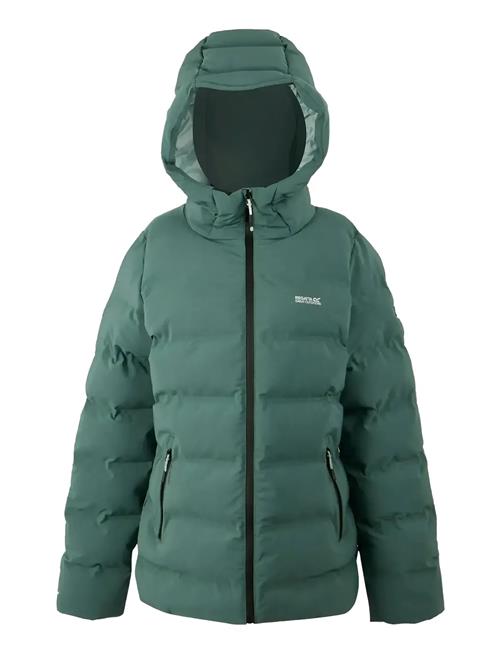 Regatta | Women's Altoro Thermal | M