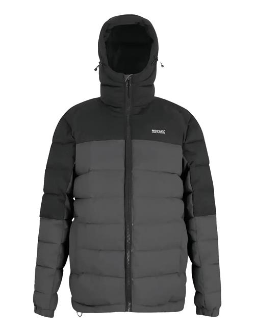 Regatta | Aldthorn | XL