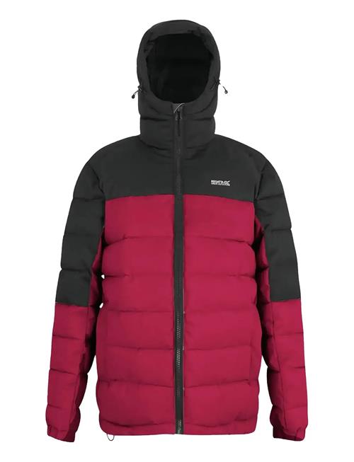 Regatta | Aldthorn | L