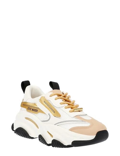 Steve Madden | Possession-E | 41