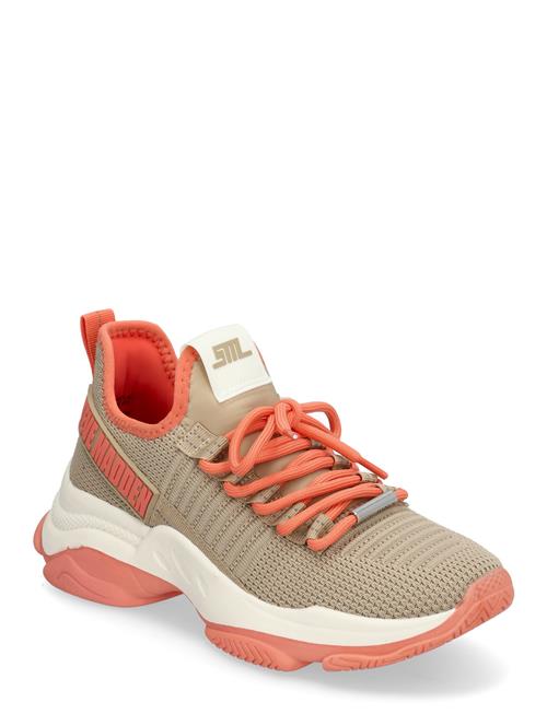 Steve Madden | Mac-E Sneaker | 36