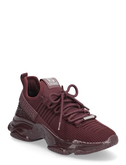 Steve Madden | Maxilla-R-E | 39