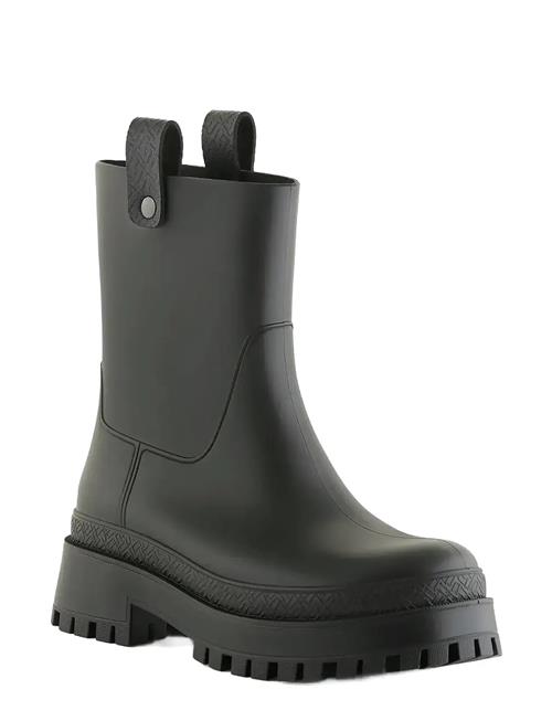 Lemon Jelly | Kaiah Black | 41