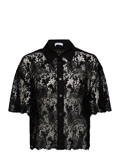 2NDDAY | 2Nd Tabbi - Heavy Lace | 42