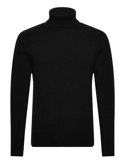 HOLZWEILER | Tony Turtle | S