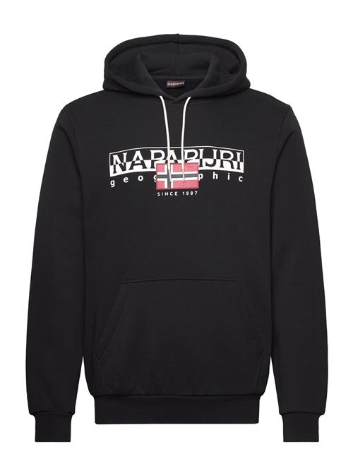 Napapijri | B-Aylmer H Wint | S