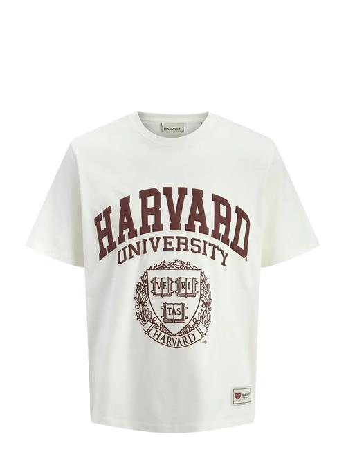 Jack & Jones | Jorharvard Tee Ss C.n Styd Ss25 | M